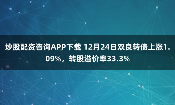 炒股配资咨询APP下载 12月24日双良转债上涨1.09%，转股溢价率33.3%