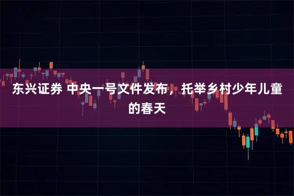 东兴证券 中央一号文件发布，托举乡村少年儿童的春天