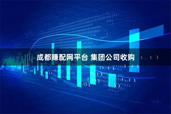 成都赚配网平台 集团公司收购