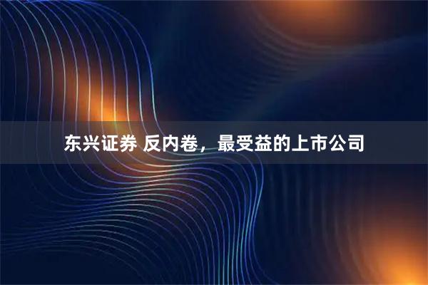 东兴证券 反内卷，最受益的上市公司