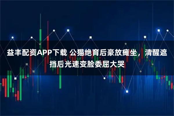益丰配资APP下载 公猫绝育后豪放瘫坐，清醒遮挡后光速变脸委屈大哭