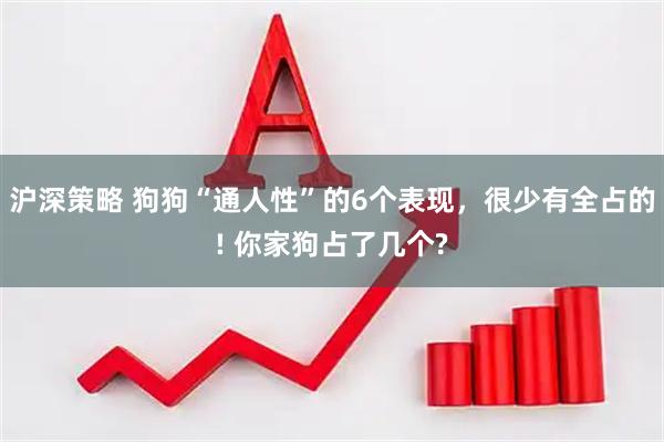 沪深策略 狗狗“通人性”的6个表现，很少有全占的! 你家狗占了几个?
